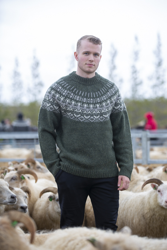 Elís pull en laine islandaise