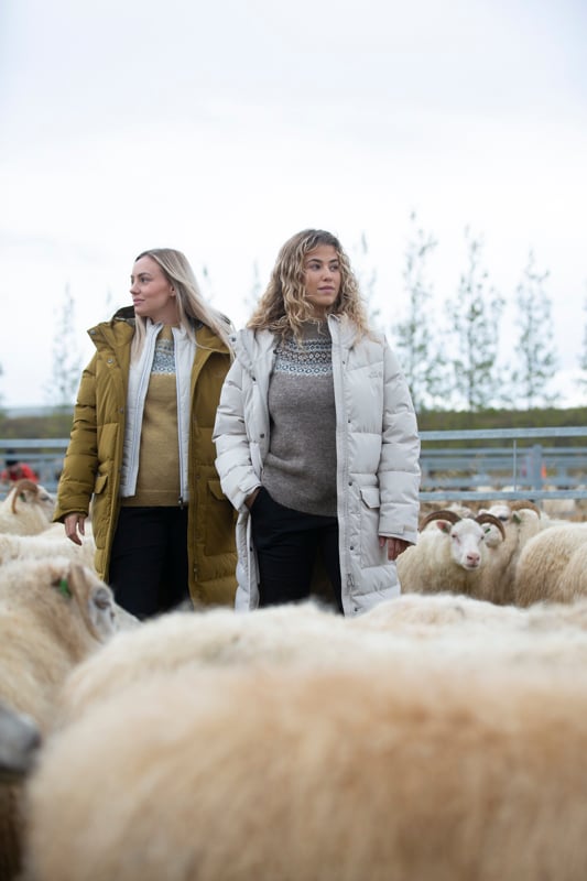 rettir-sheep-gathering-iceland-wool-sweater_6096.jpeg