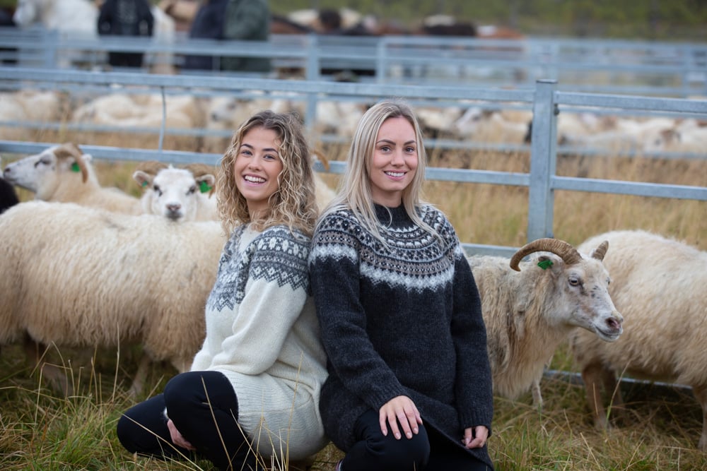 rettir-sheep-gathering-iceland-wool-sweater_5990.jpeg