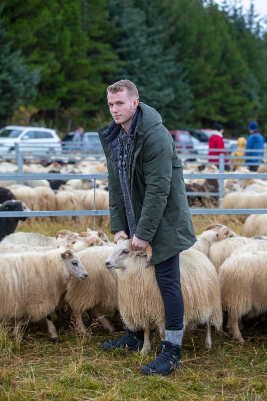rettir-sheep-gathering-iceland-wool-sweater_5964.jpeg