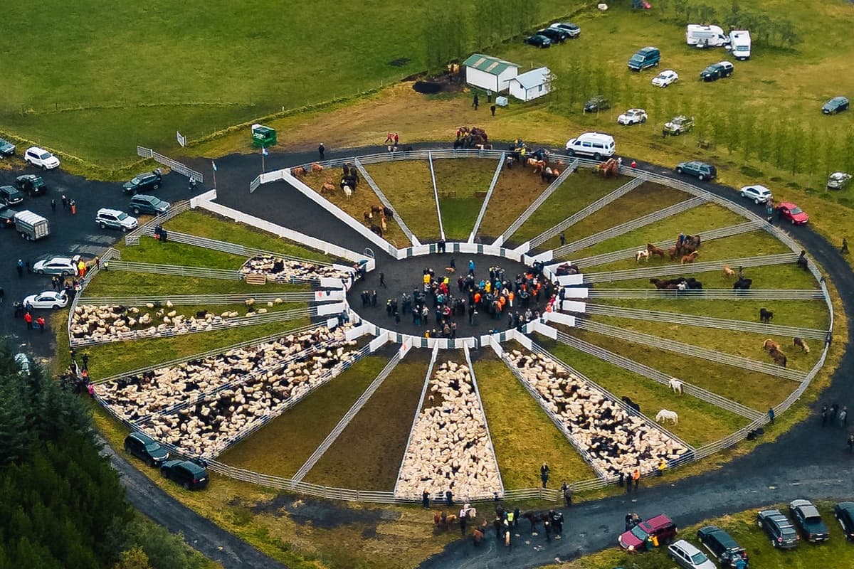Réttir in Iceland