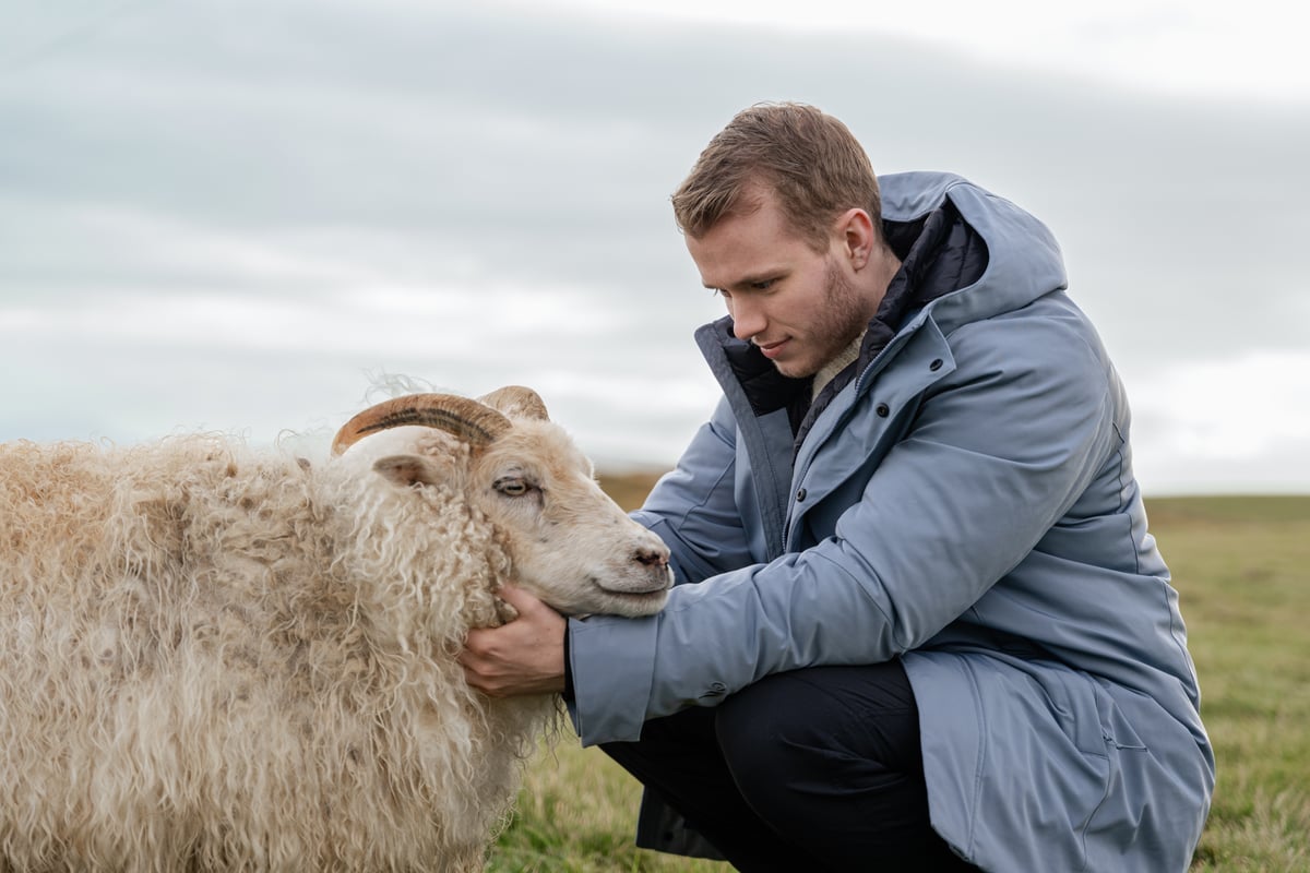 men and sheep