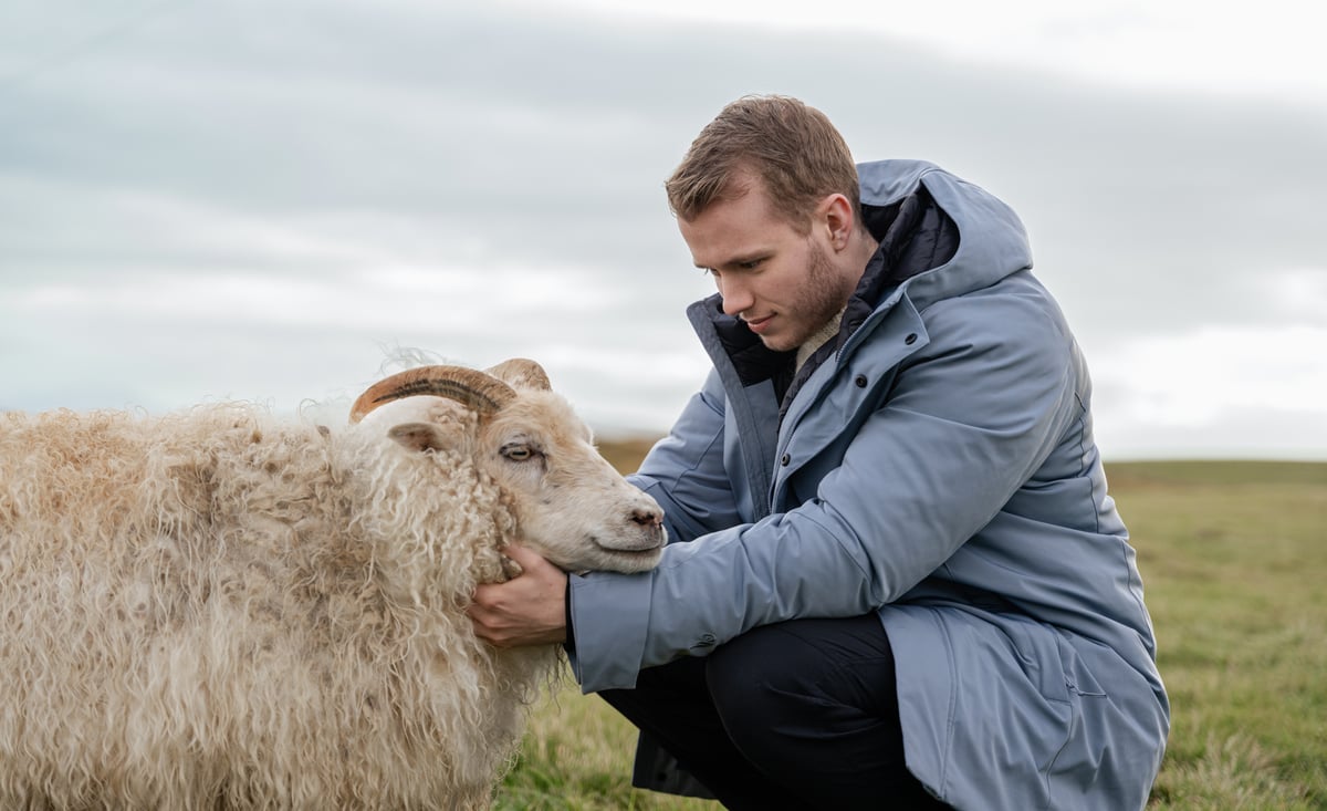 men and sheep