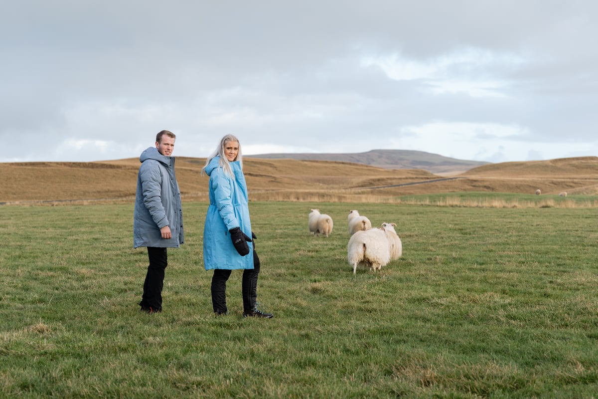 couple and sheep in the field