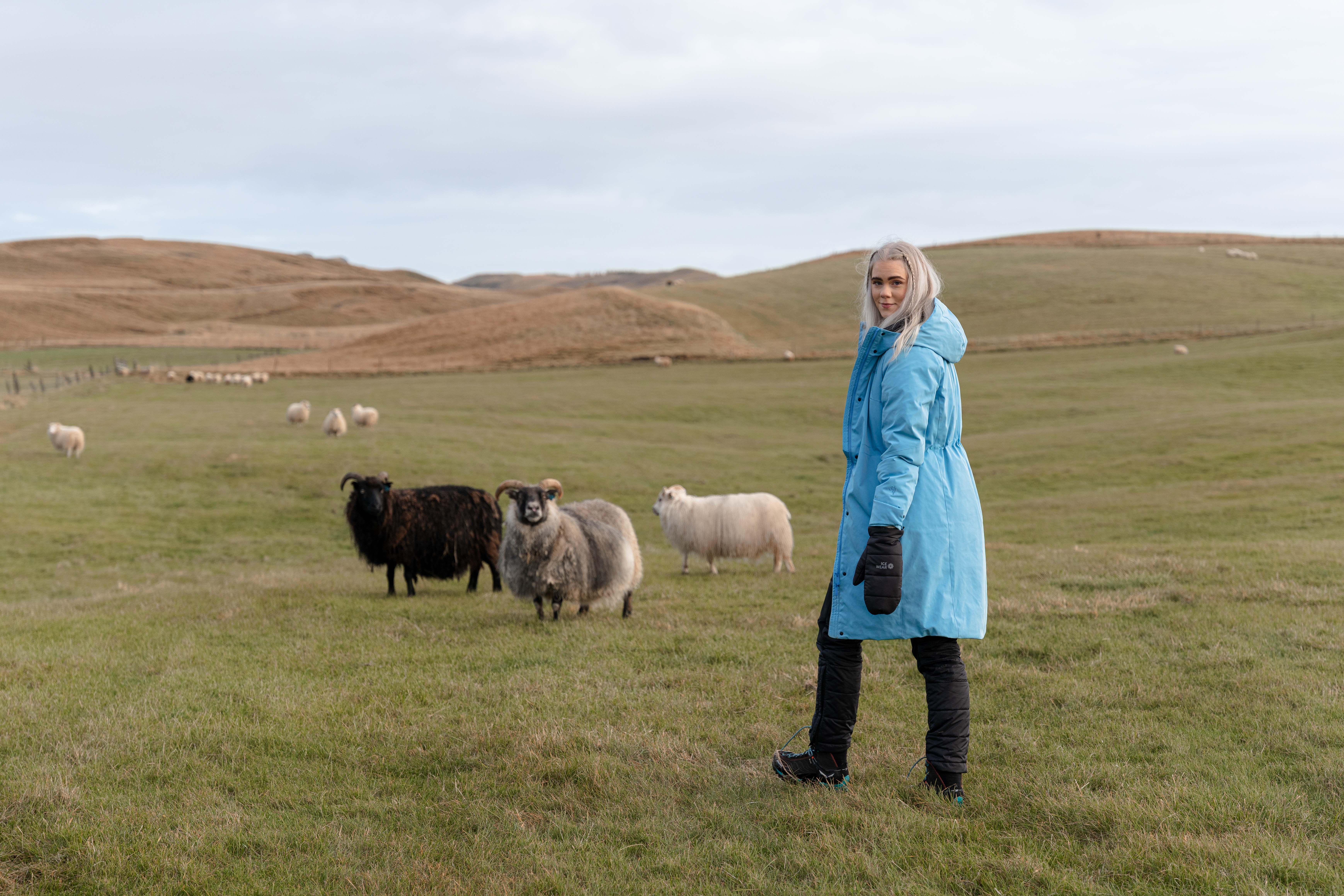 Reykjavik winter coat Icelandic wool padding Reykjavik winter coat Icelandic wool padding