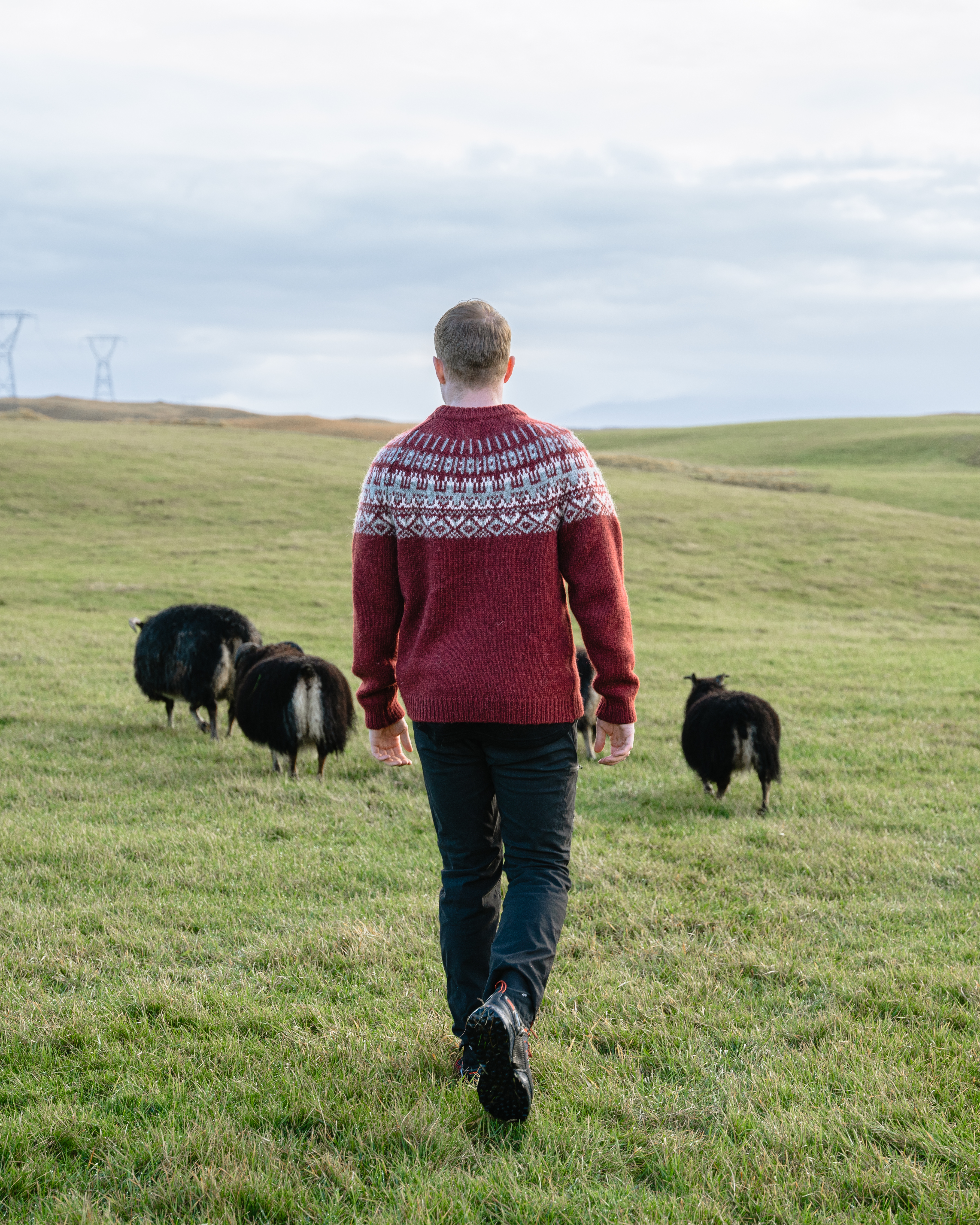Elis Icelandic wool Sweater