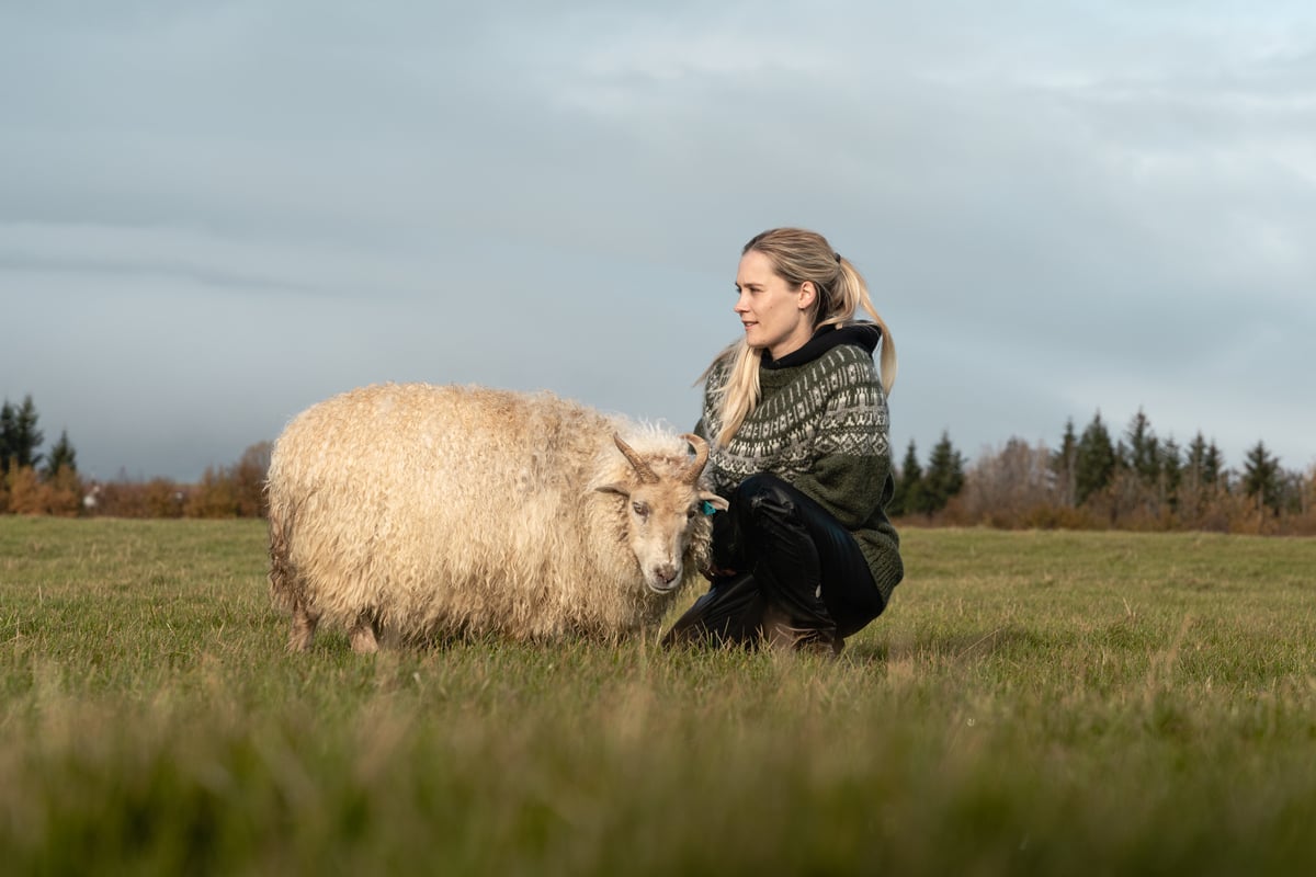 woman and sheep on field, little forest behind them