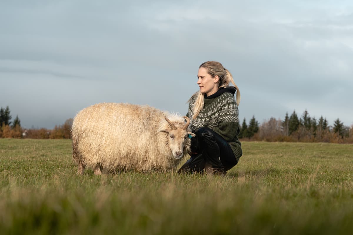 woman and sheep on field, little forest behind them