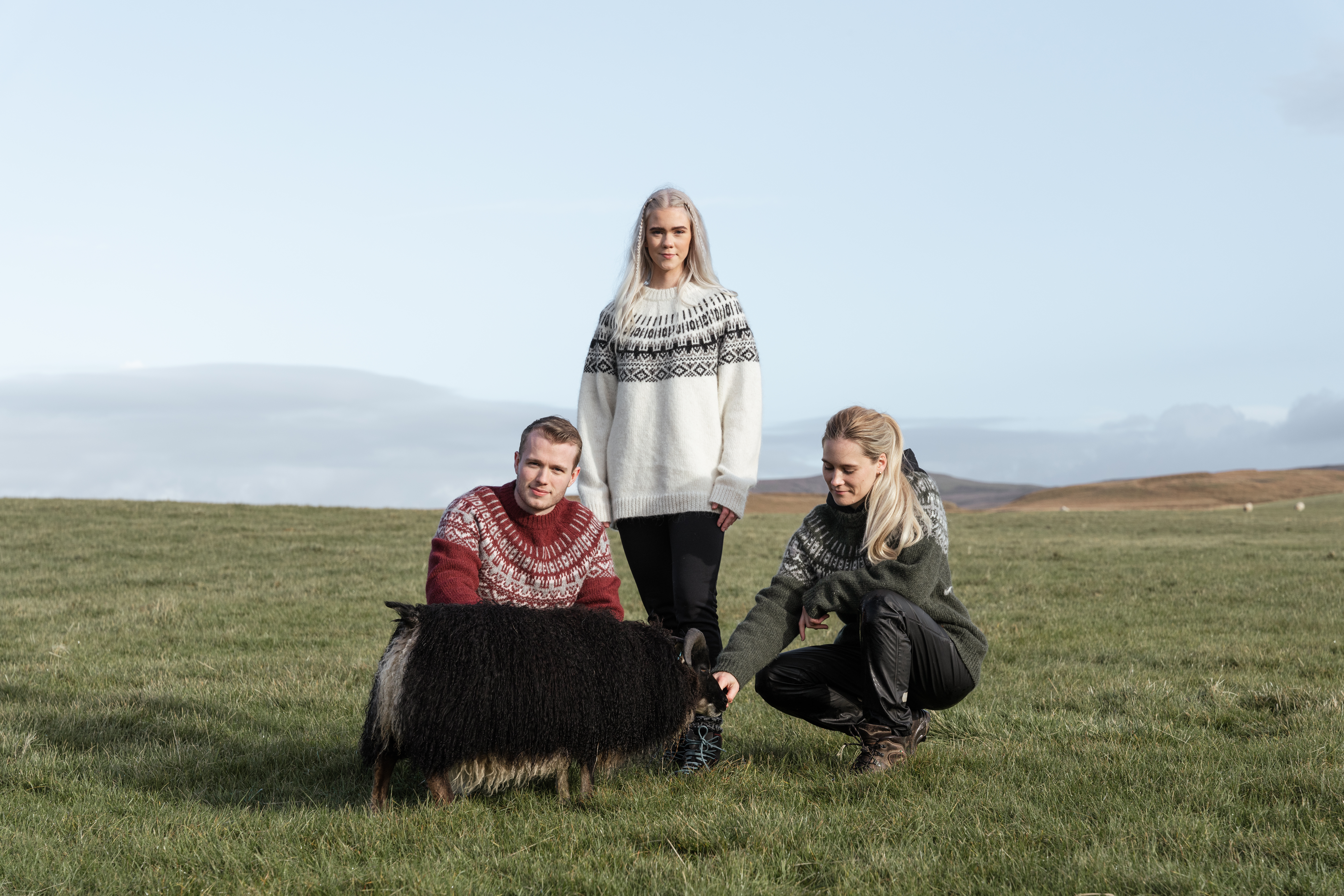 Elís pull en laine islandaise