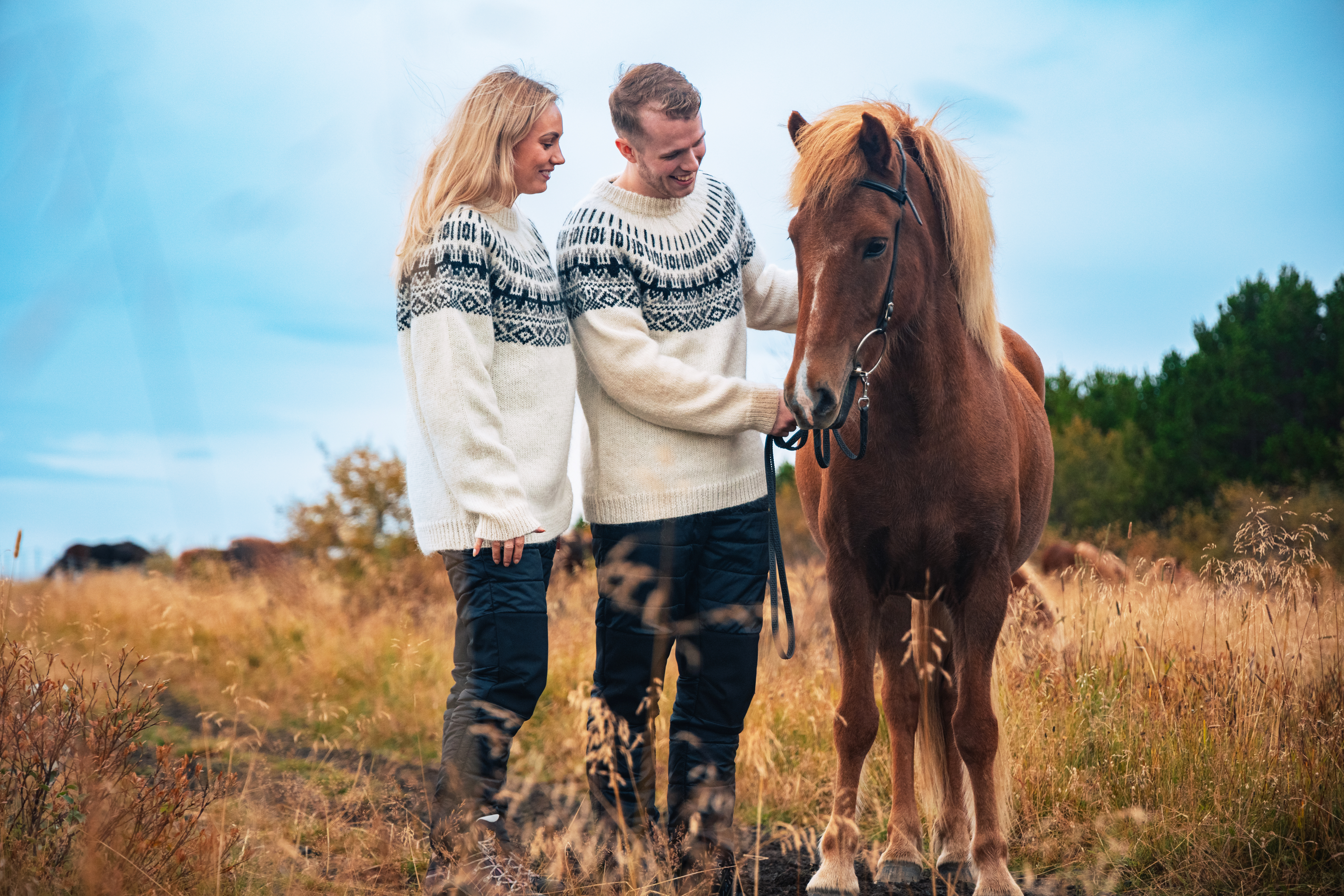 Elís pull en laine islandaise