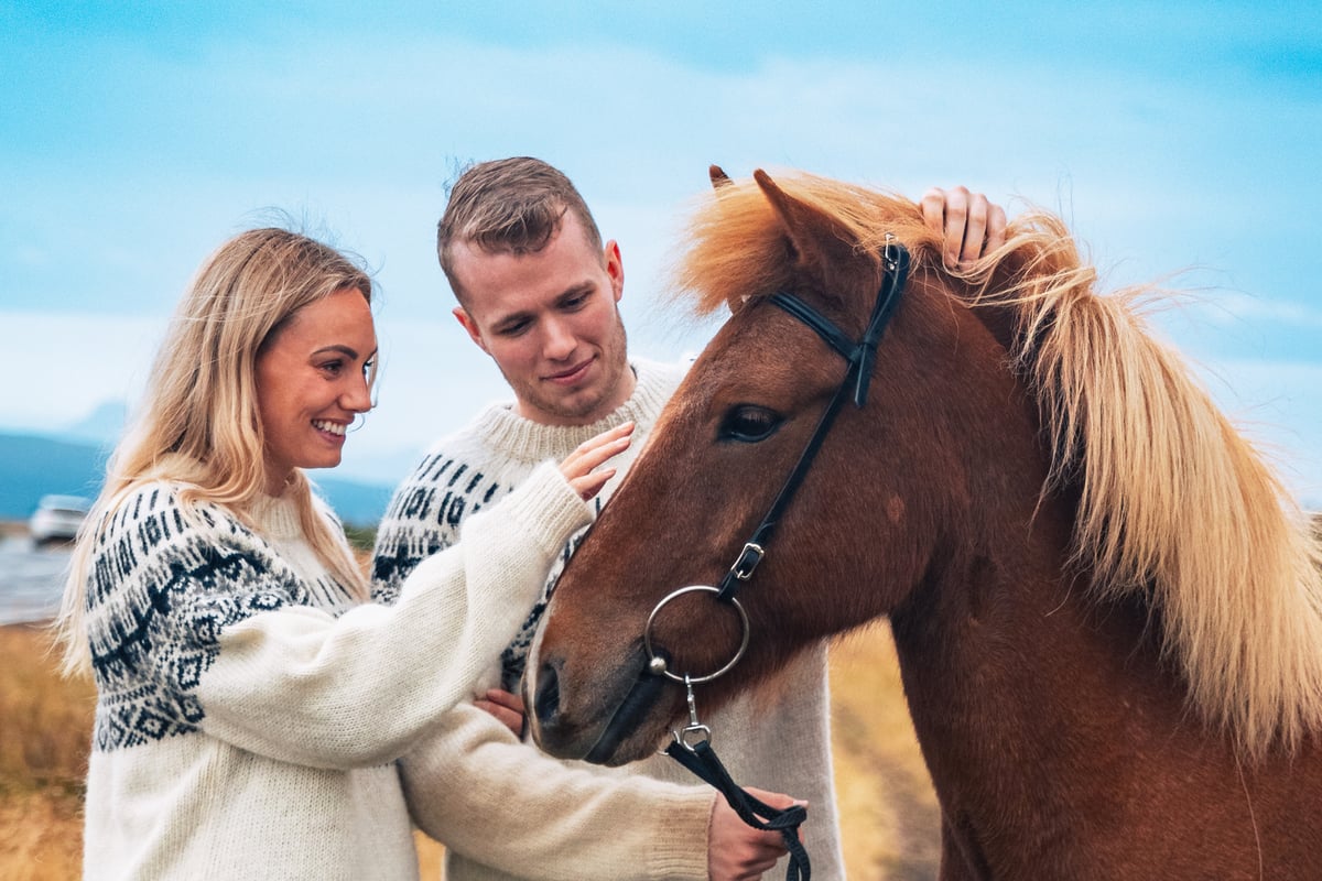 couple petting a horse