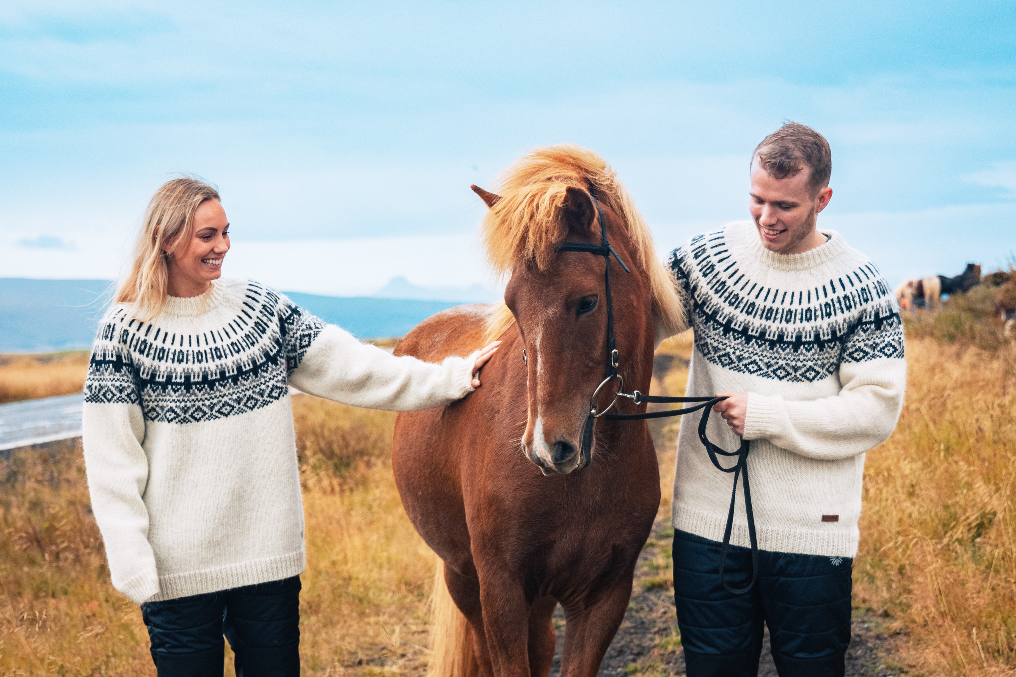 Elís pull en laine islandaise