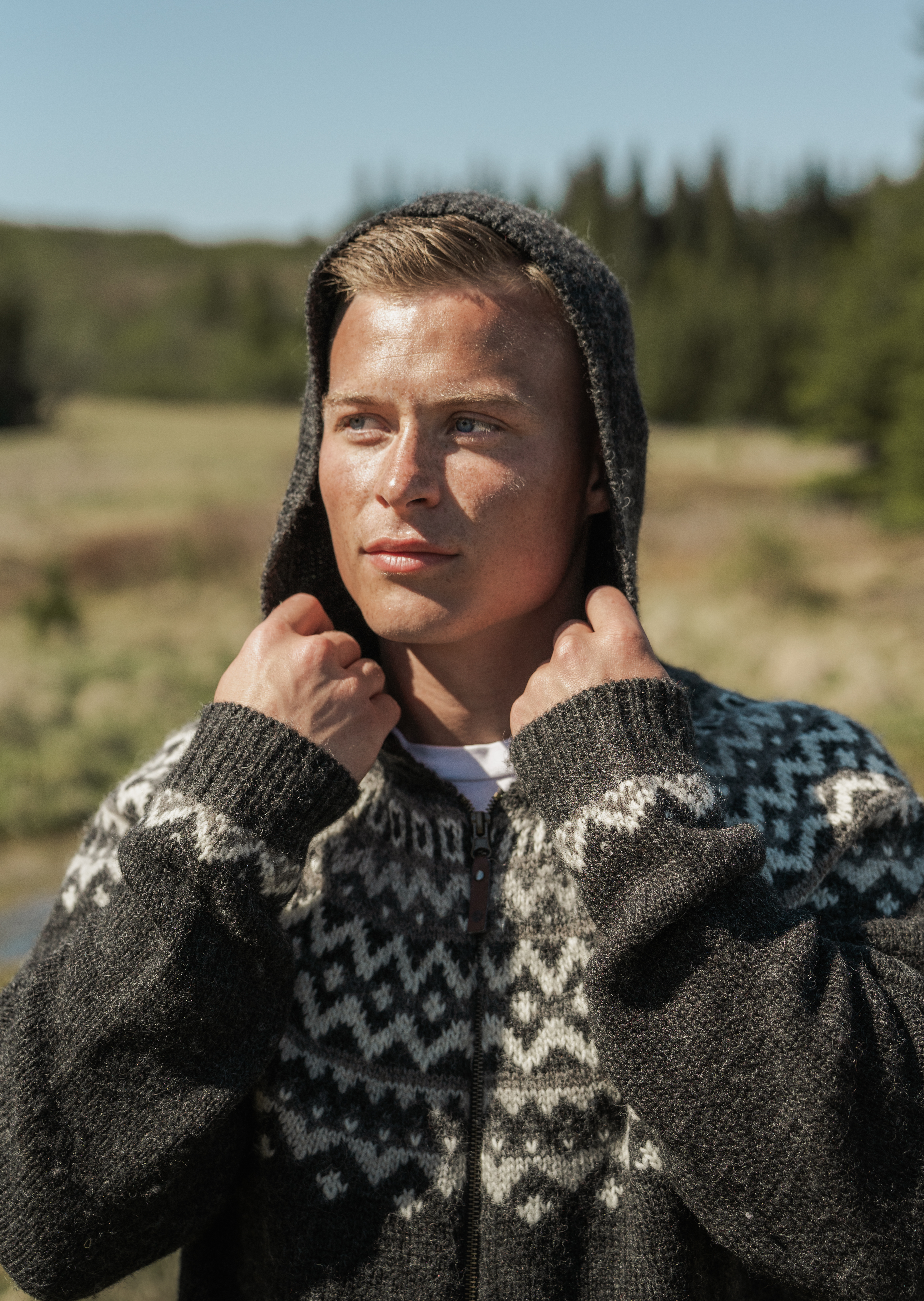 Skjaldbreiður wollpullover mit kapuze
