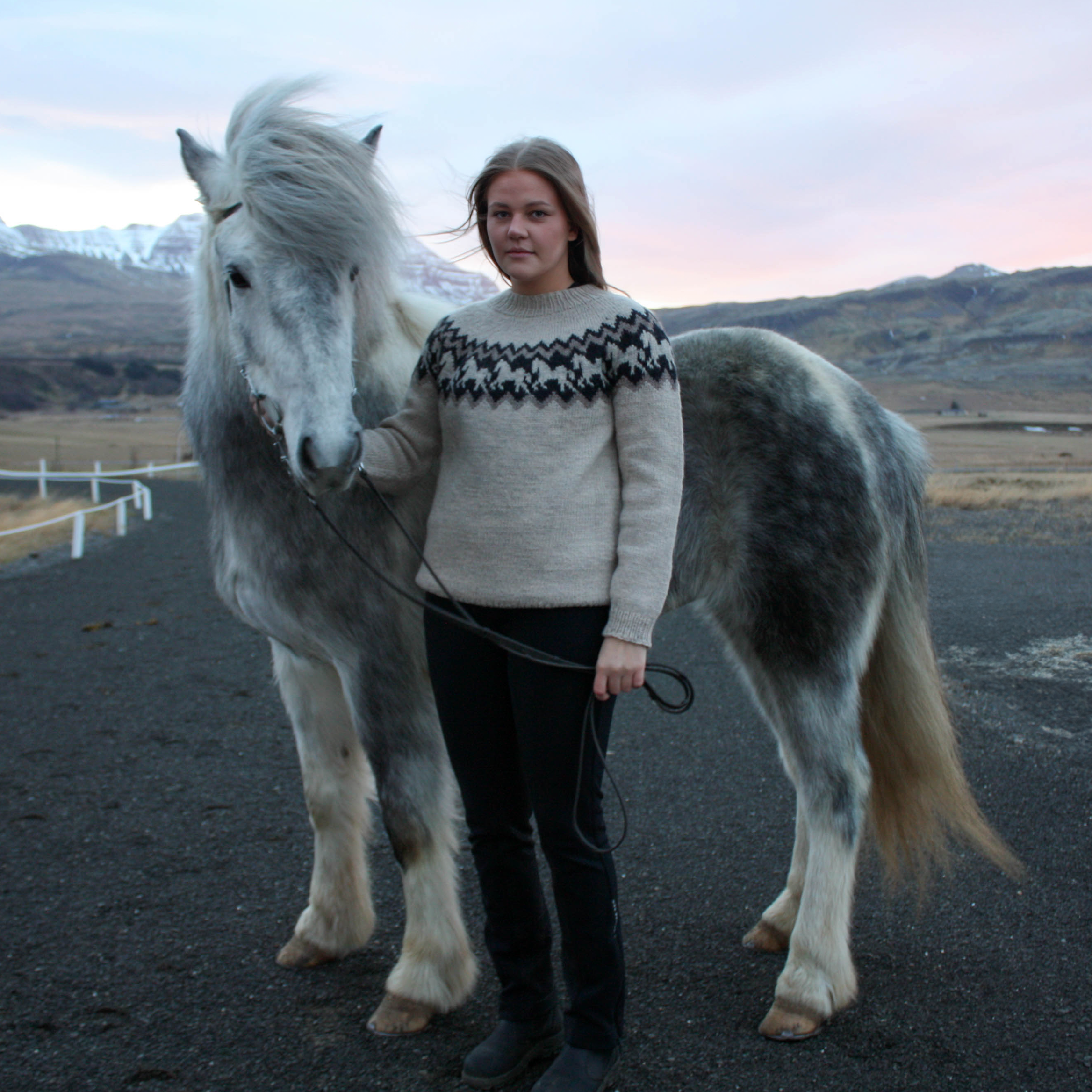 Ljómi adult horsesweater knitting pattern