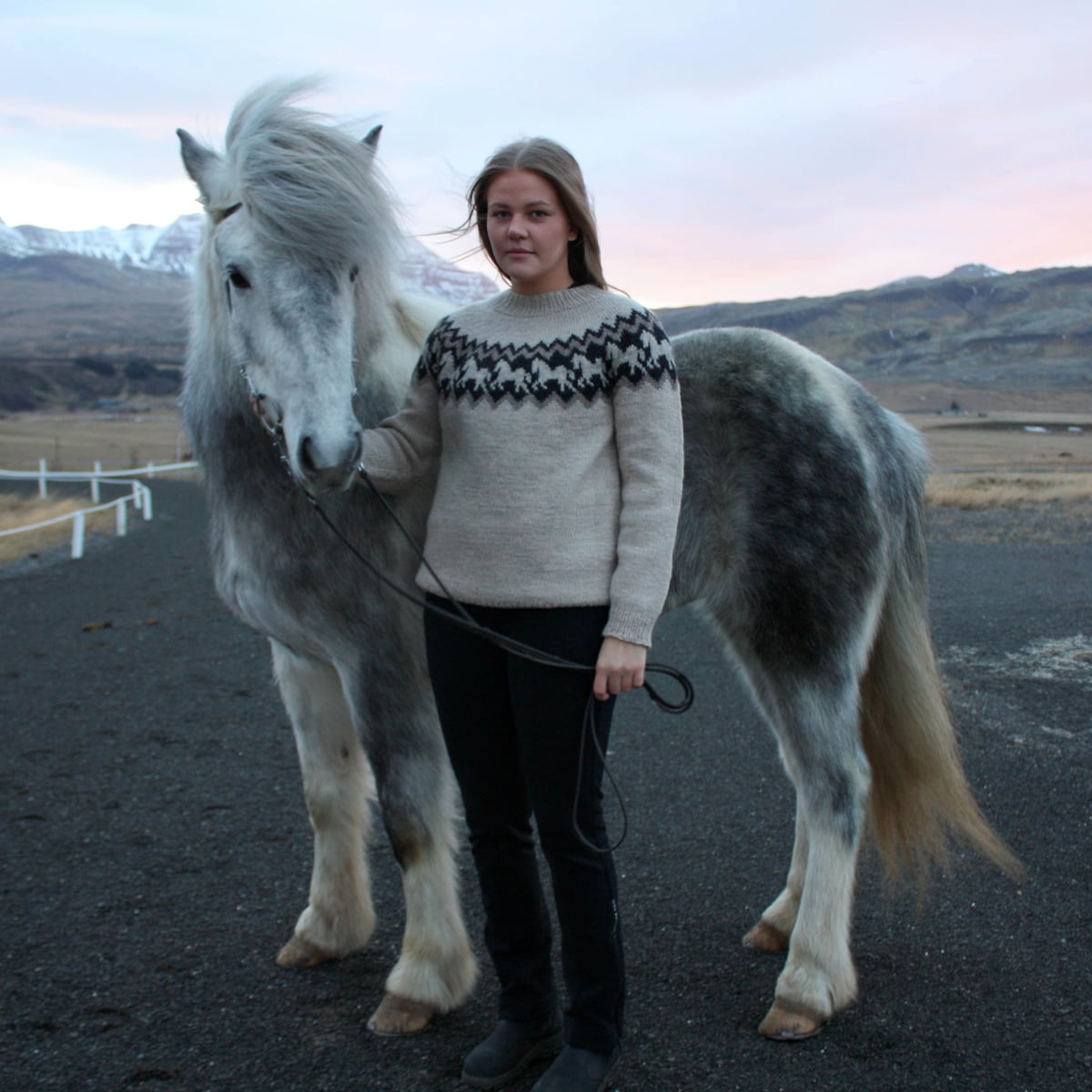 ljomi_knit0472_adult-horse-sweater_knitting-pattern_prjonauppskrift-3.jpeg