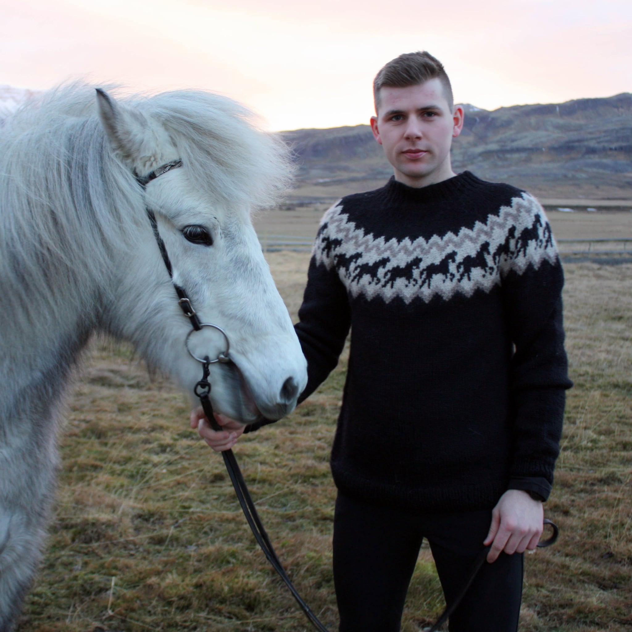 Ljómi Strickmuster für einen Pullover mit Pferdemotiv
