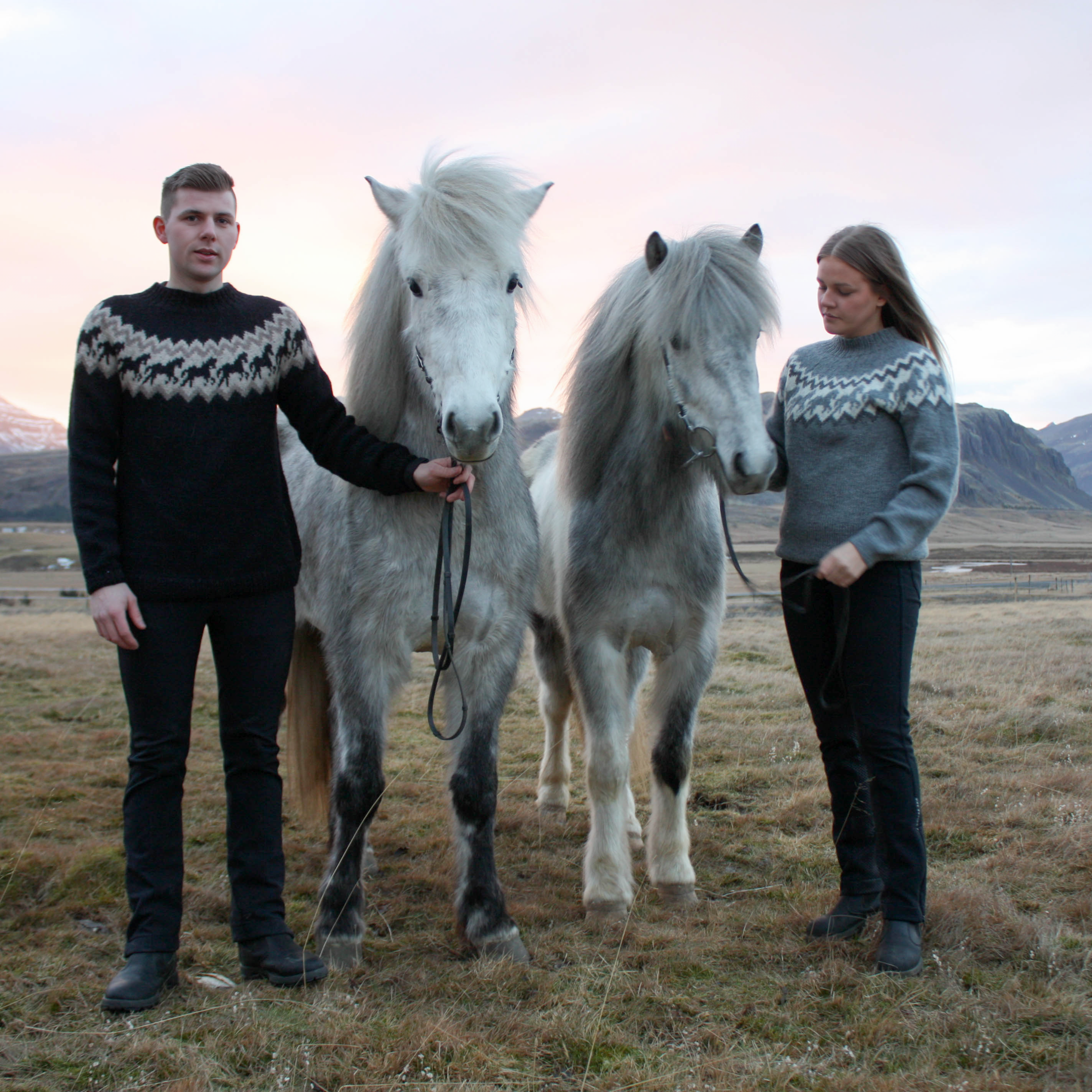 Ljómi adult horsesweater knitting pattern
