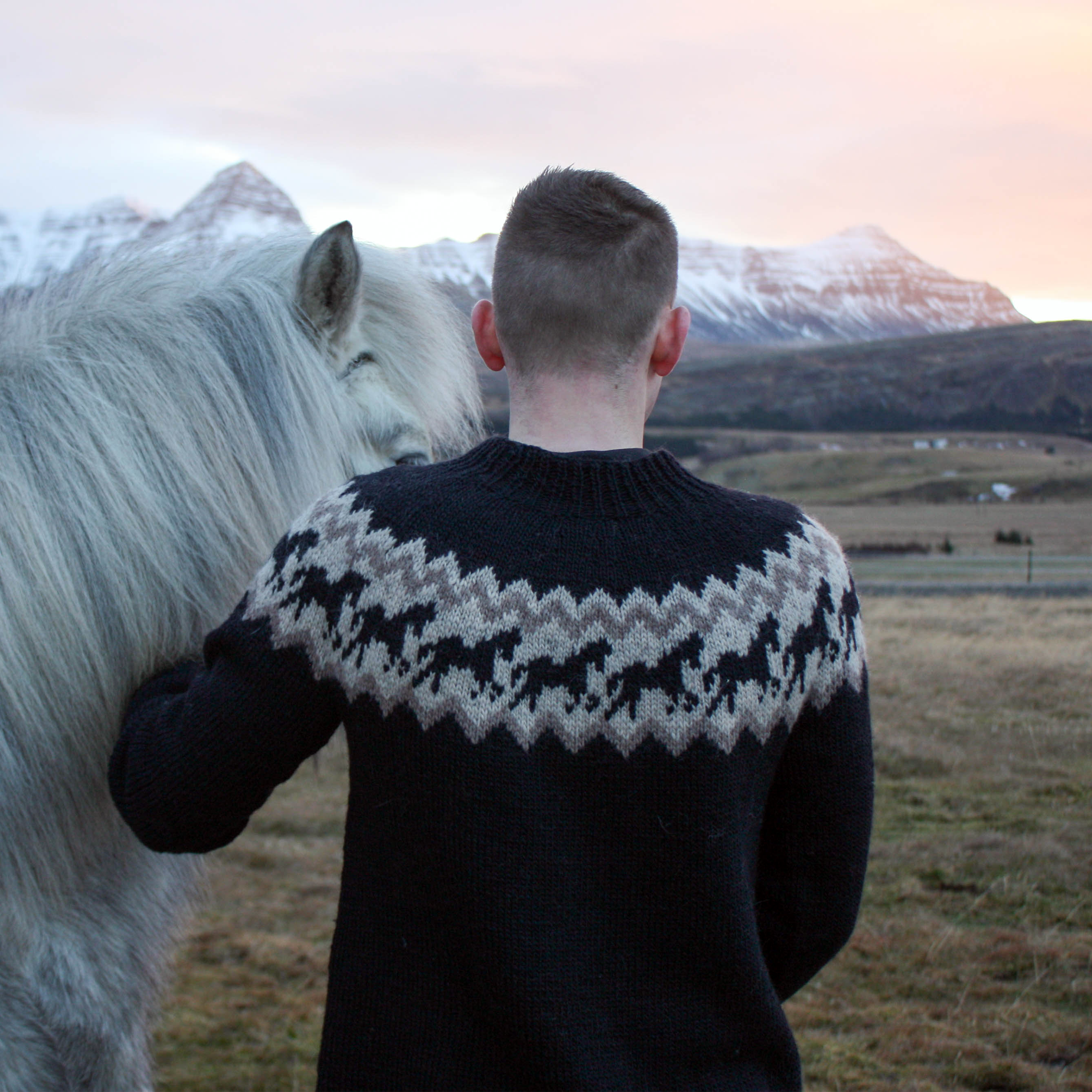 Ljómi adult horsesweater knitting pattern