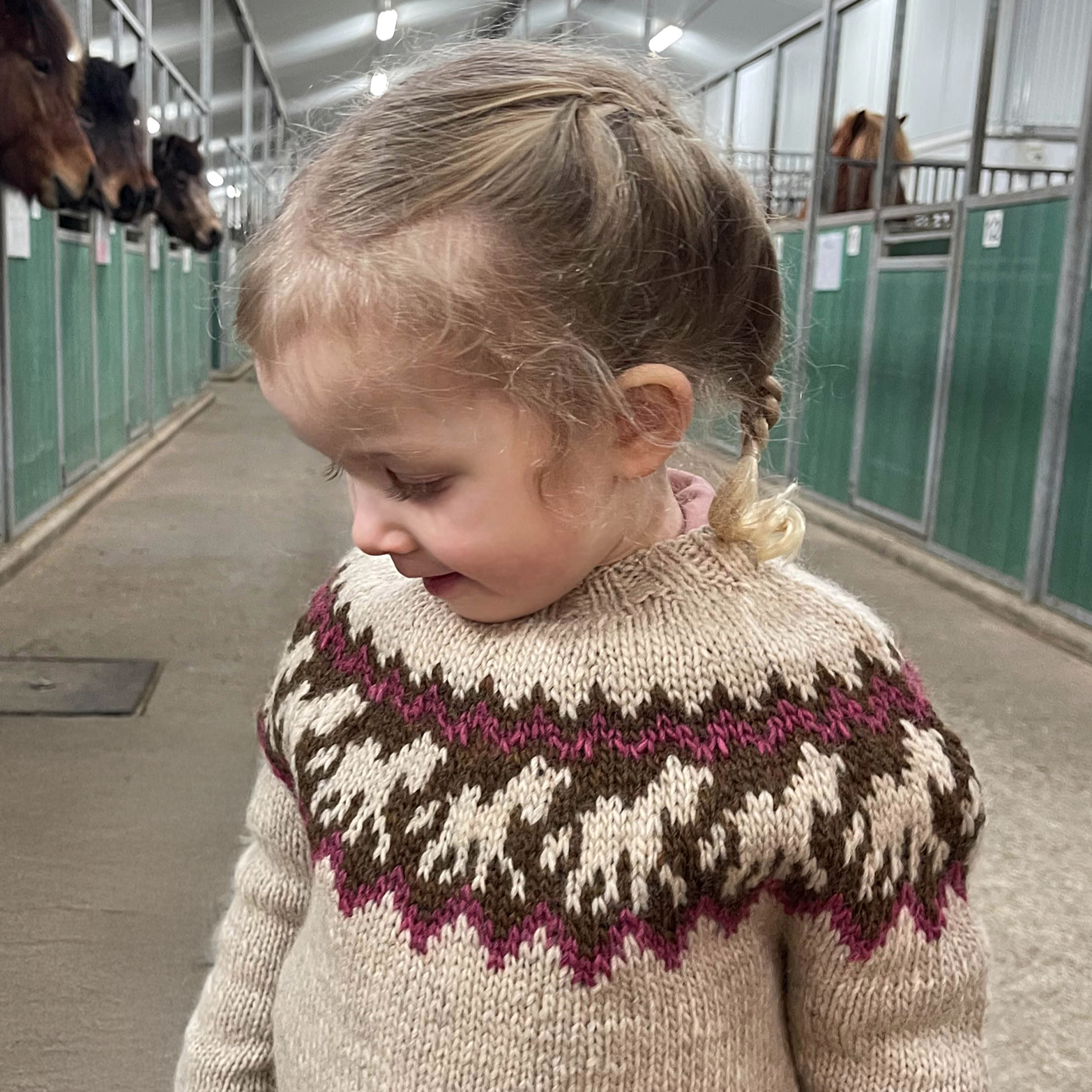 Ljómi kids horsesweater knitting pattern