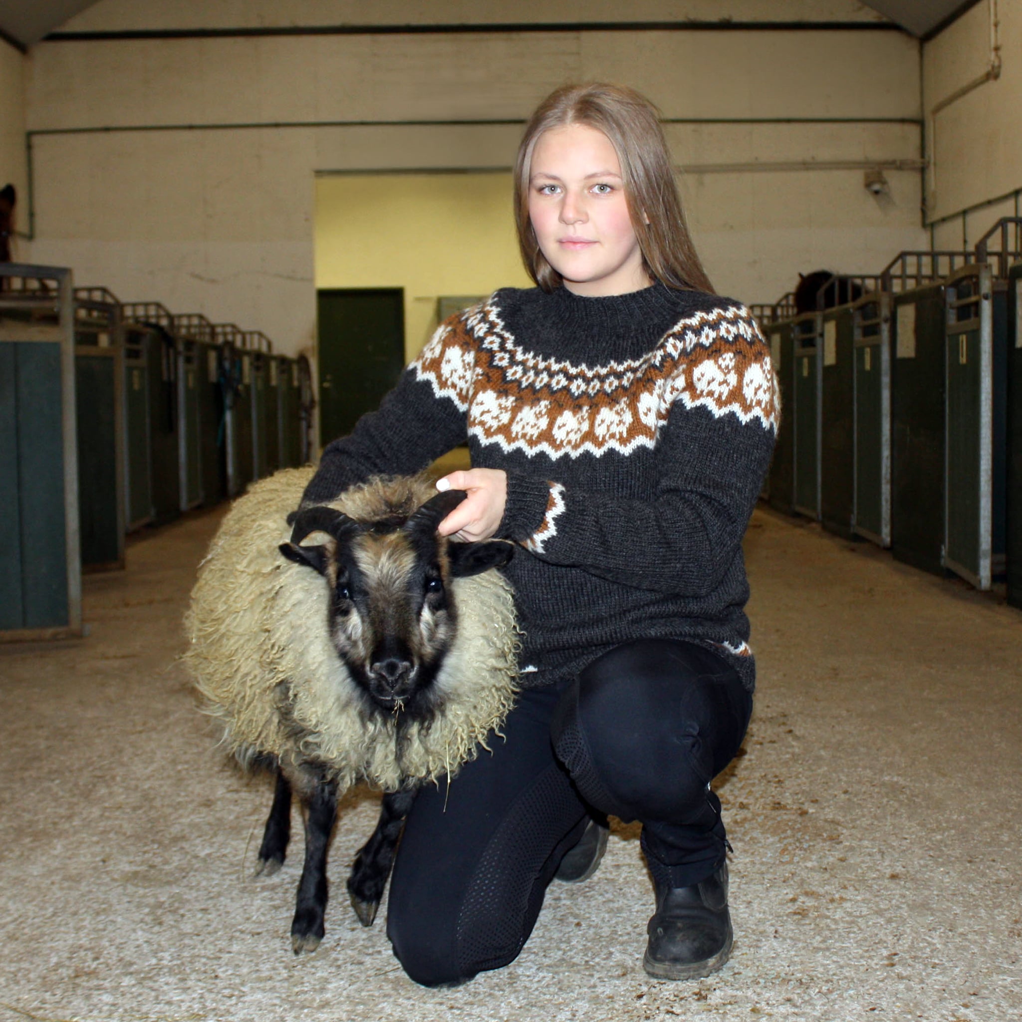 blida_knit0475_sheep-sweater_knitting-pattern_prjonauppskrift2.jpeg