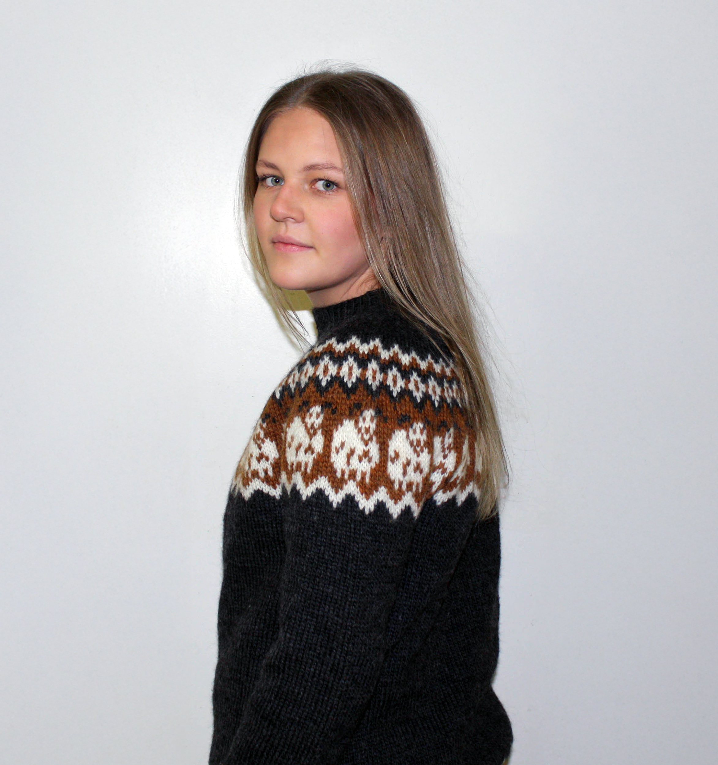 Blíða kindapeysa prjónauppskrift