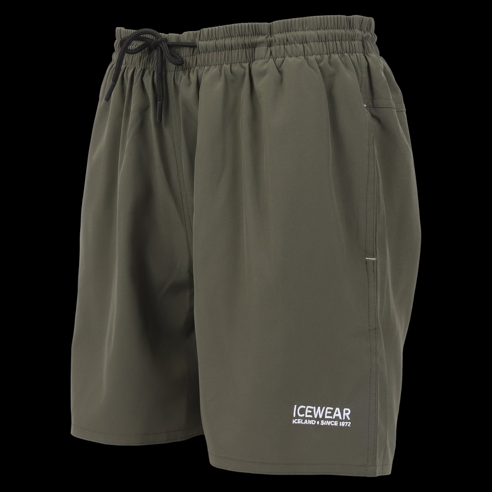 Brimir Swim Shorts