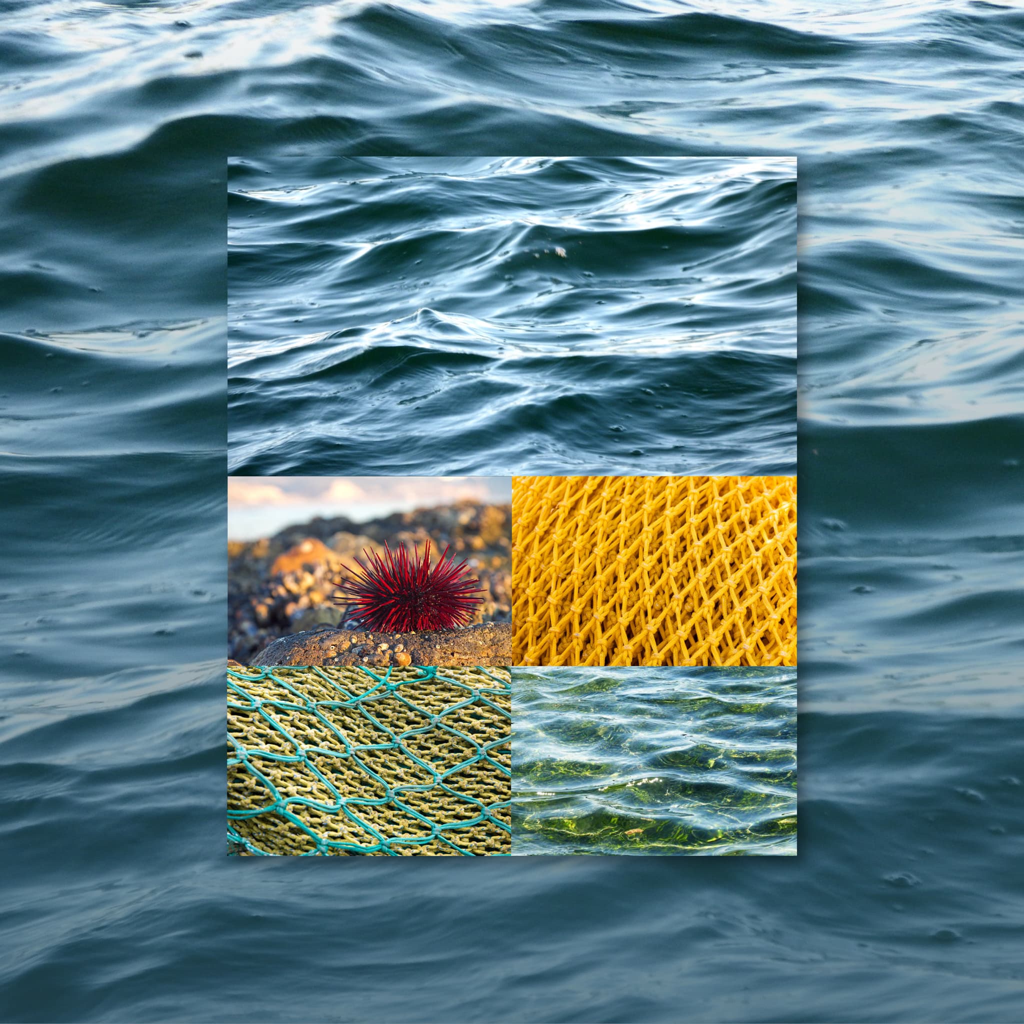 Haf secret shawl knitting pattern