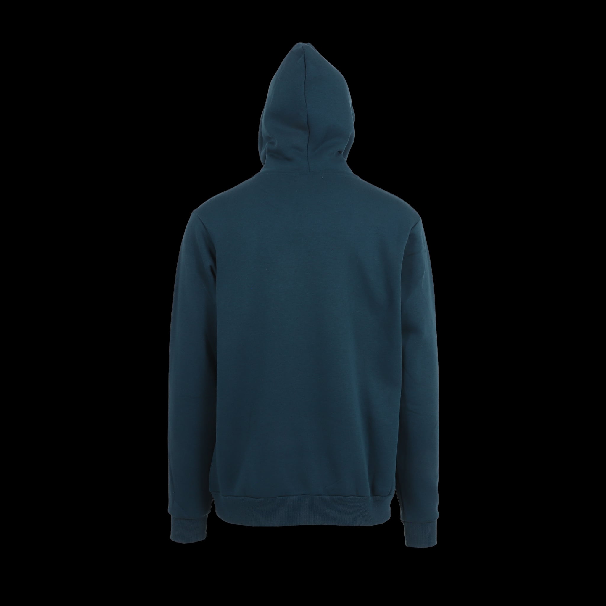 logan-blue-back-hoodie.jpeg